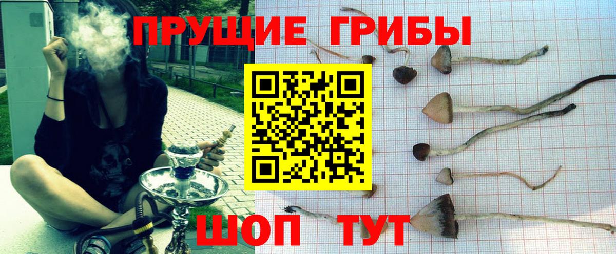 Великий Новгород  Псилоцибиновые грибы MAGIC MUSHROOMS  Галлюциногенные грибы мухоморы  где купить   Вход с VPN 